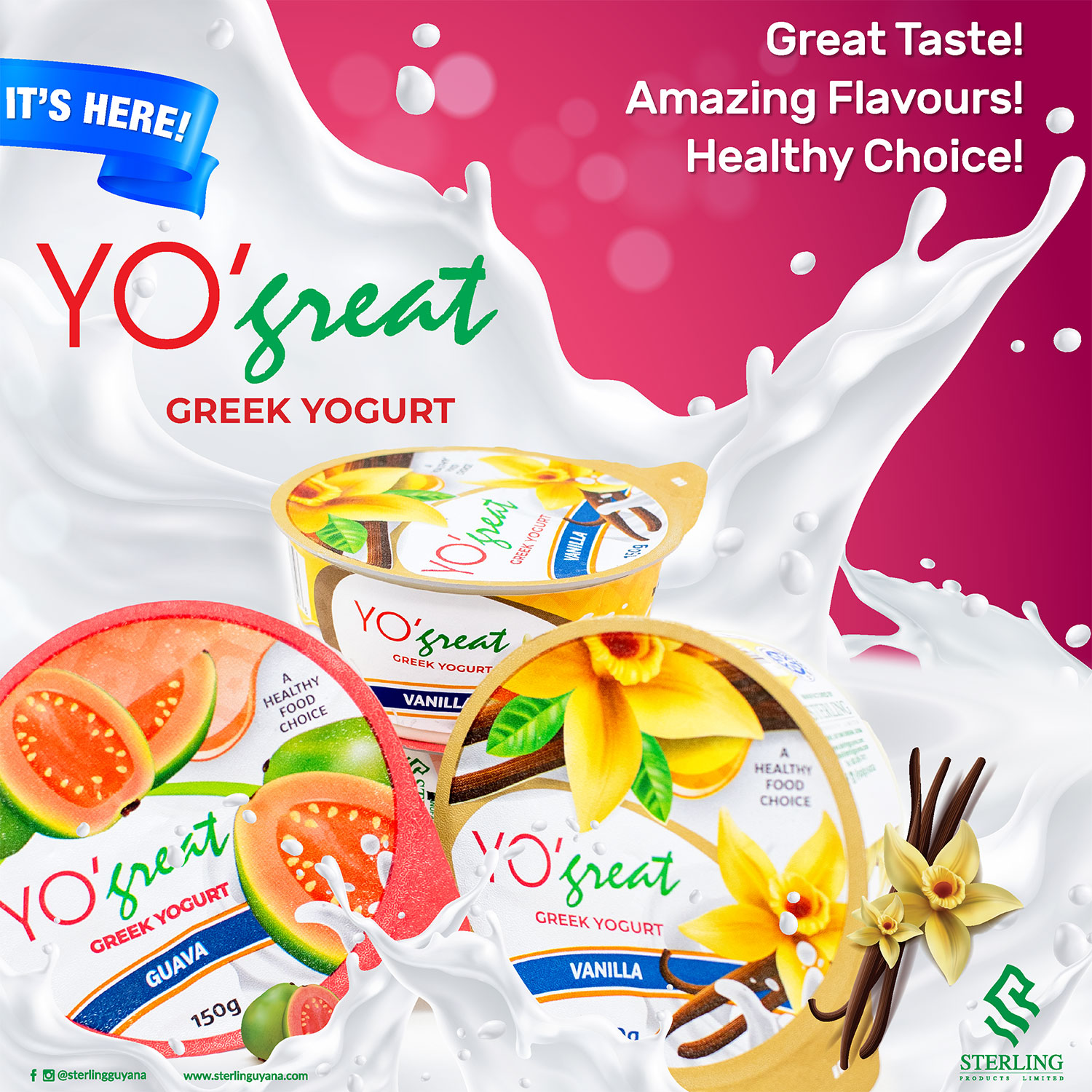 yogreat greek yogurt